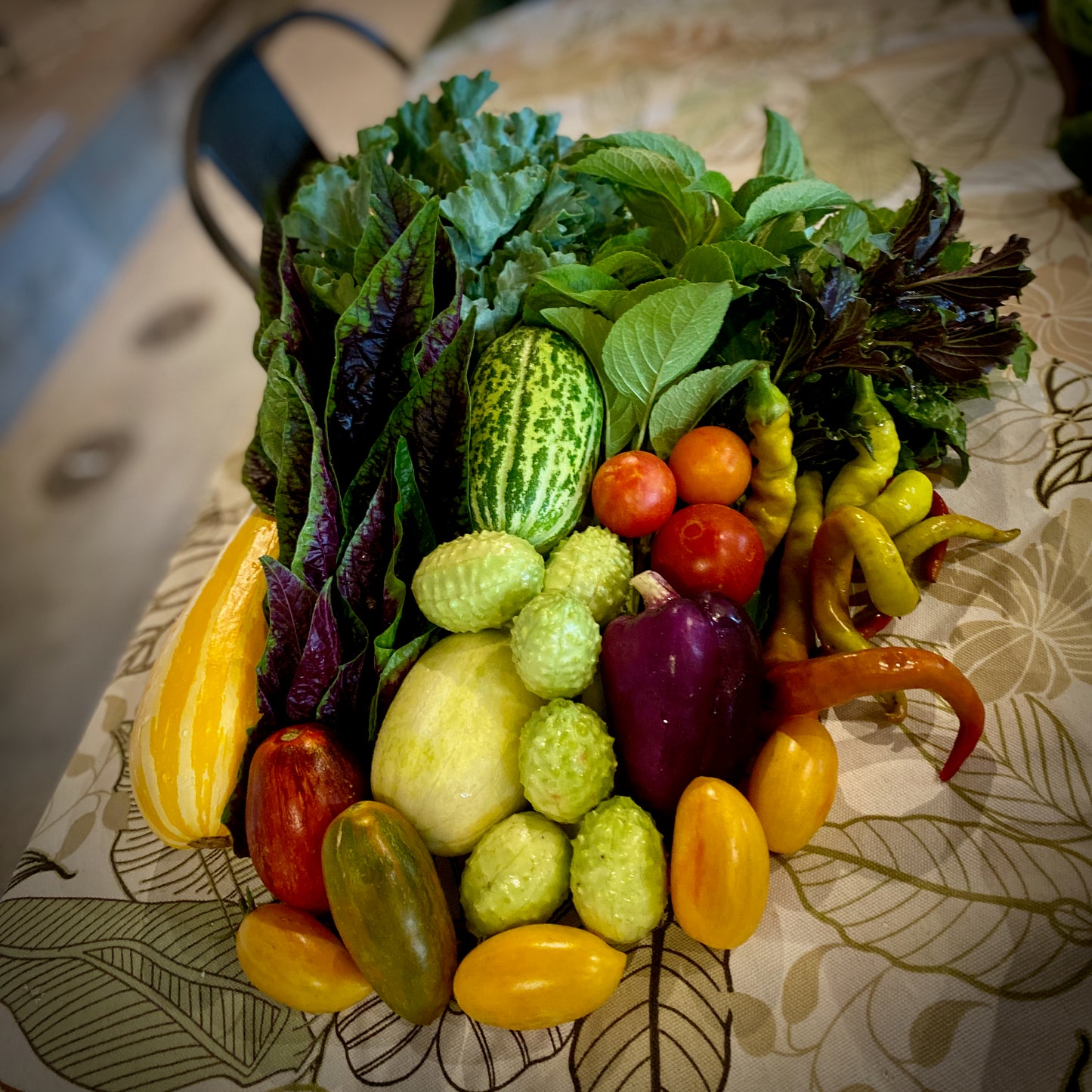 CSA - FULL SEASON - 10 BOXES